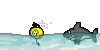 shark..gif