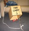 Pedobear_has_free_candy_for_u_by_flamingflamingo123.jpg