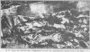 lm_tr_sn56.jpg