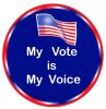 my-vote.jpg