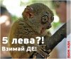 vzemaide.jpg