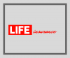 Lifeinsurance.png