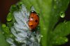img_006237.jpeg