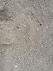 100624516_629630364562800_7575621444495736832_n.jpg