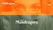 Mandragora.jpg