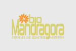 mandragora-3.png