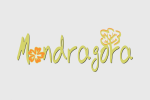 mandragora-4.png