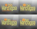 other-mandragora-2.jpg