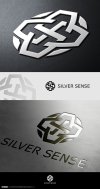 silver sense.jpg