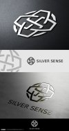 silver sense 01.jpg