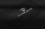 sliver-sense-pres1.jpg