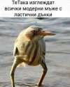 328123724_615821256940321_5440813181478877089_n.jpg