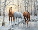 landscape-w600-h600-q90-1709900513_08f3bb56e52c74935ce26903bd2c5e36.jpg