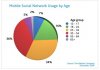 nielsen-mobile-social-network-usage-age-mar-2010.jpg