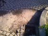 25042012158.jpg