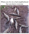 1760217719651.png 1760217719651.png