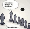 3826.jpg