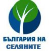 4398_5.jpg