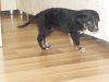 DSCN2609.jpg