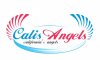 cali's angels221.jpg