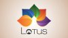 company-logo-design_lotus-320x180.jpg