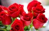 8824267-rose-flower-wallpaper.jpg
