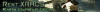 7735188S.png