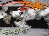 2pac-001.jpg