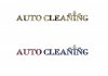 auto clean2.jpg