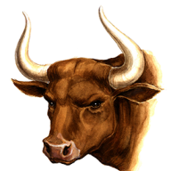 Novaka