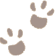 nnina777