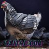 Sait4ecom