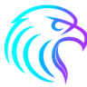 FalcoSoft ITS