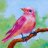 pinkbird